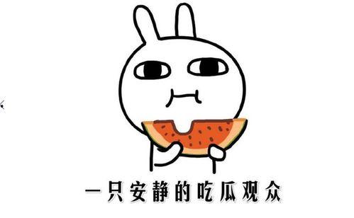 吃瓜是什么意思 吃瓜网官网免费观看,吃瓜网官网免费畅享娱乐盛宴