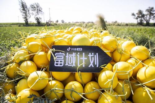 抖音热门大瓜 吃瓜网每日大赛,吃瓜网每日大赛，揭秘娱乐圈最新爆料！