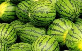 网 吃瓜网官网,网络舆论风向标，带你畅游八卦世界