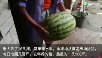 每日大赛 吃瓜视频反差合集,每日大赛吃瓜视频反差合集大揭秘