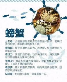热门大瓜每日必吃 宙斯视频,每日必看宙斯视频精选