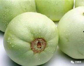 热门大瓜每日必吃 宙斯视频,每日必看宙斯视频精选