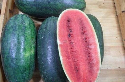 网红黑料社 热门大瓜