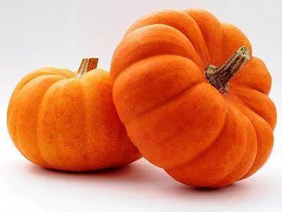 热门大瓜莫里秀 热门大瓜子,热门大瓜背后的故事与真相